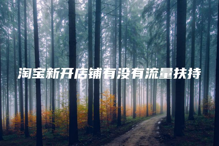淘宝新开店铺有没有流量扶持 淘宝新开店铺有没有流量扶持