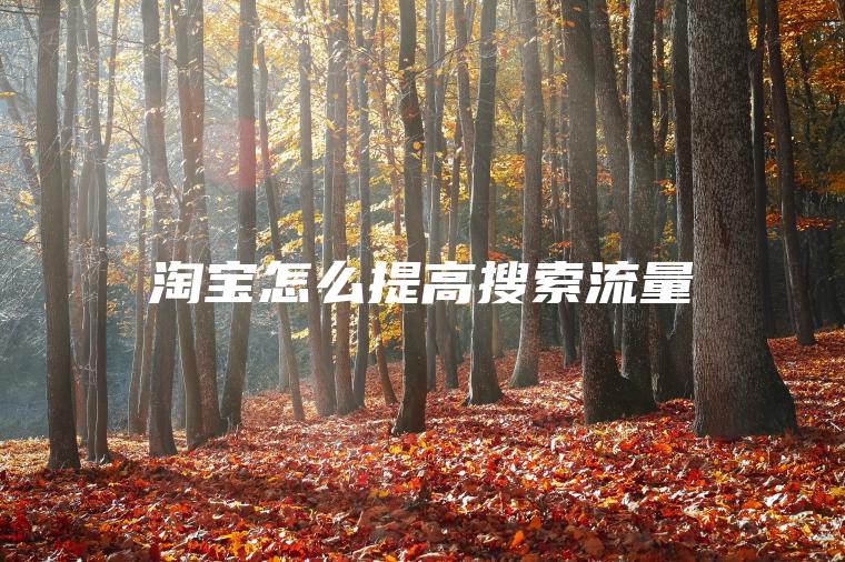 淘宝怎么提高搜索流量