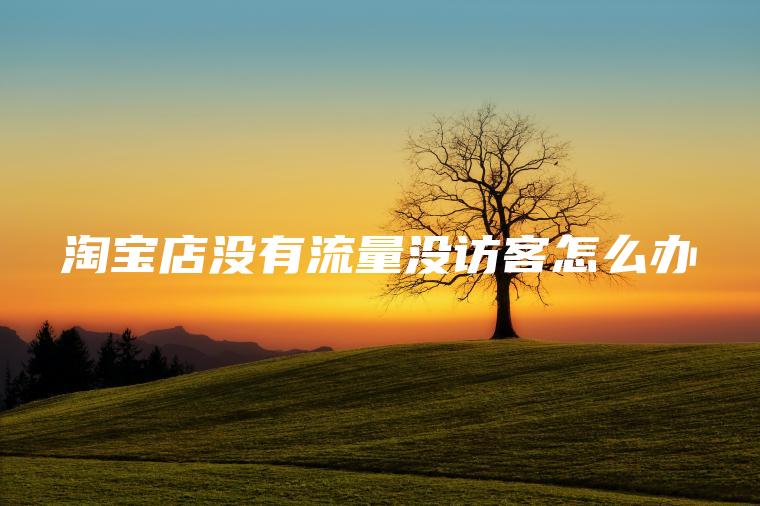 淘宝店没有流量没访客怎么办