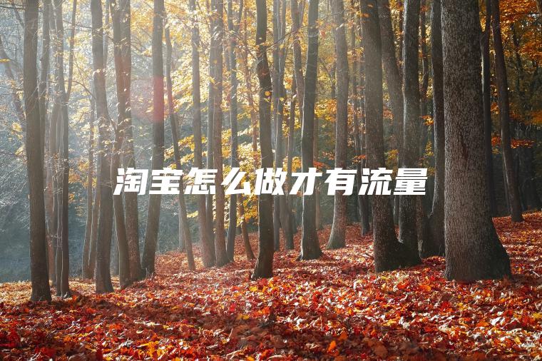 淘宝怎么做才有流量 淘宝怎么做才有流量