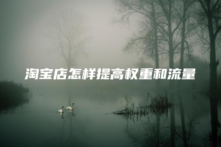 淘宝店怎样提高权重和流量