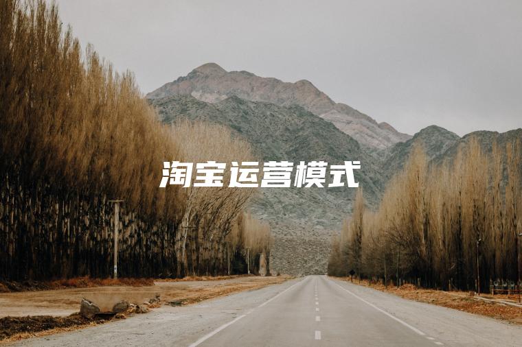 淘宝运营模式