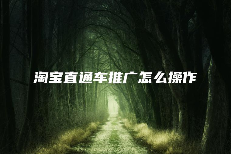 淘宝直通车推广怎么操作