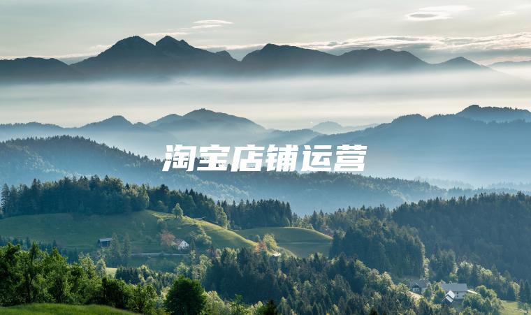 淘宝店铺运营