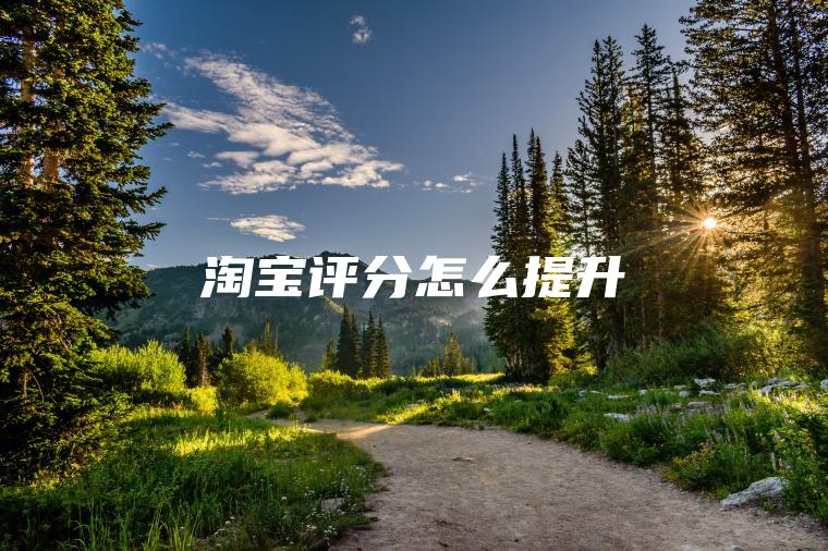 淘宝评分怎么提升