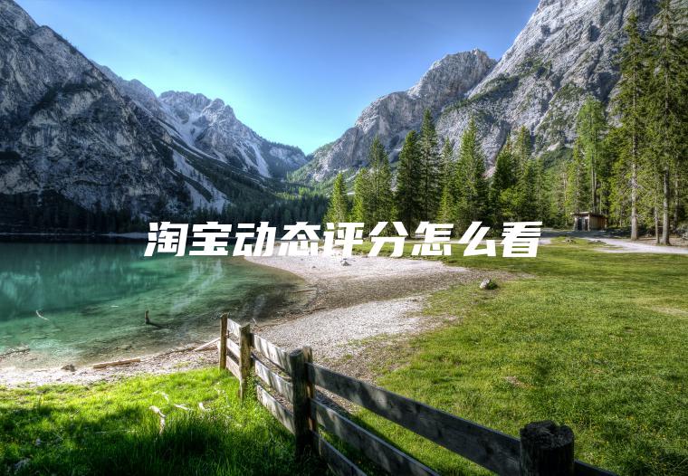 淘宝动态评分怎么看