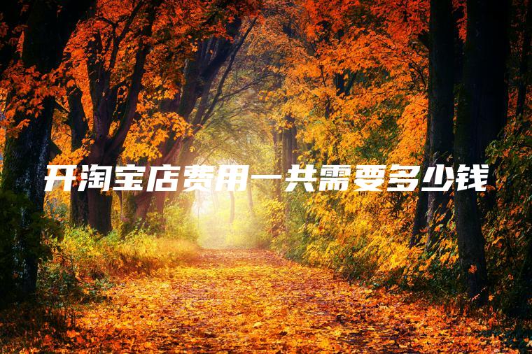 开淘宝店费用一共需要多少钱