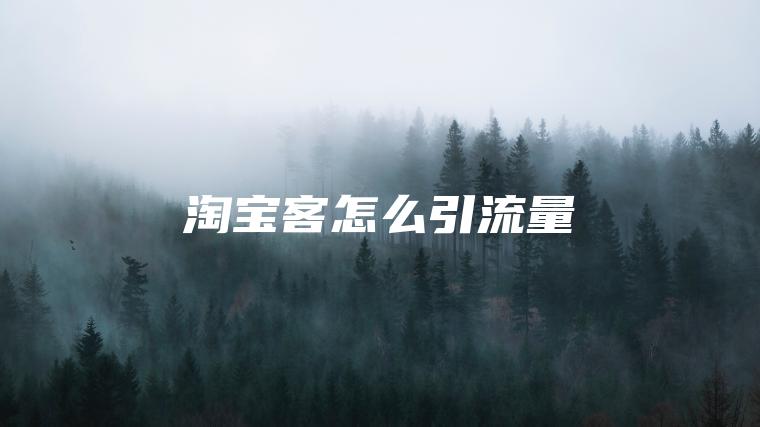 淘宝客怎么引流量 淘宝客怎么引流量