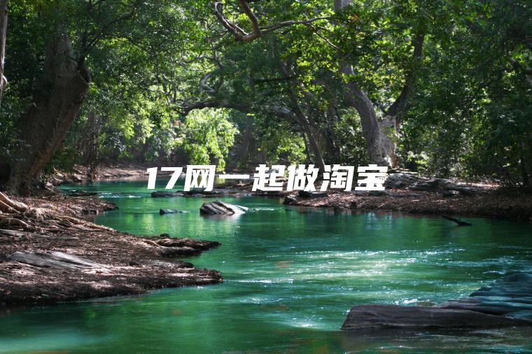 17网一起做淘宝 17网一起做淘宝