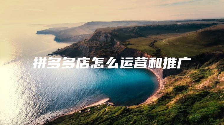 拼多多店怎么运营和推广