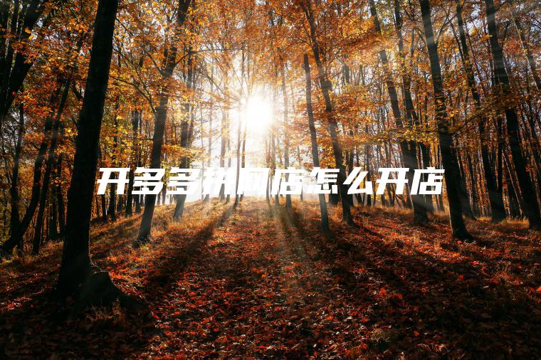 开多多拼网店怎么开店