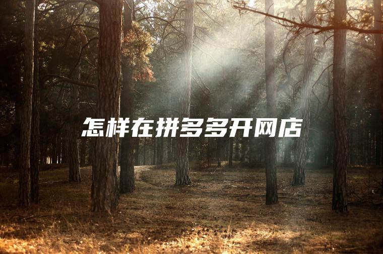 怎样在拼多多开网店