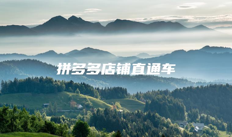 拼多多店铺直通车