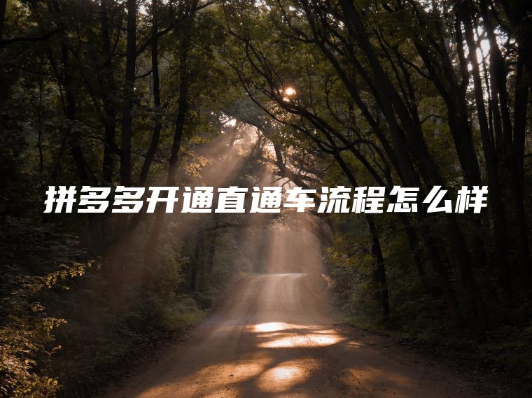 拼多多开通直通车流程怎么样