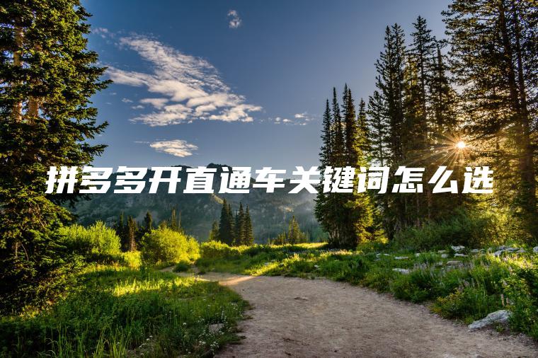 拼多多开直通车关键词怎么选