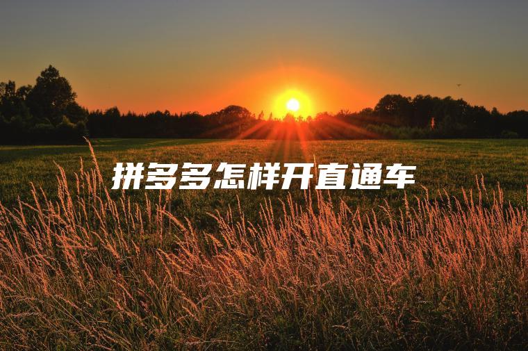 拼多多怎样开直通车