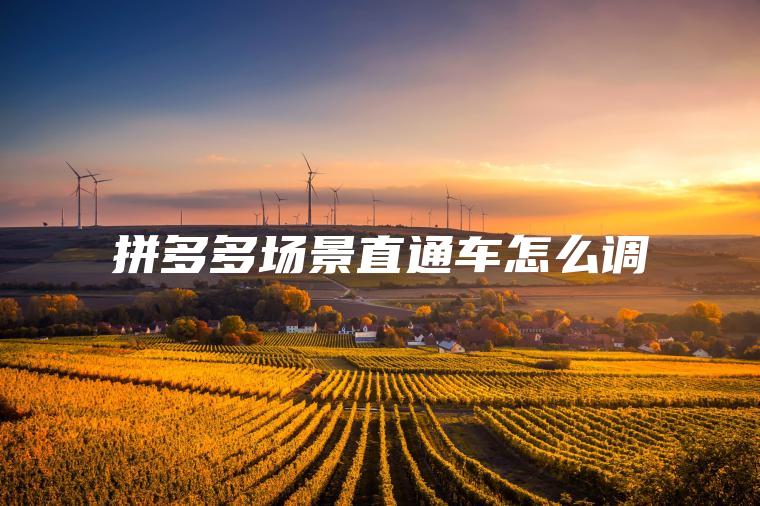 拼多多场景直通车怎么调