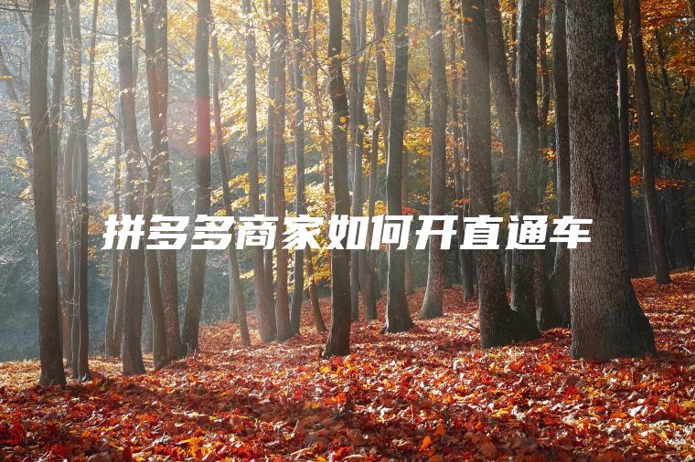 拼多多商家如何开直通车