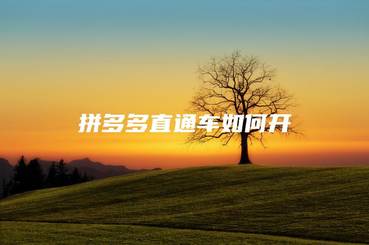 拼多多直通车如何开
