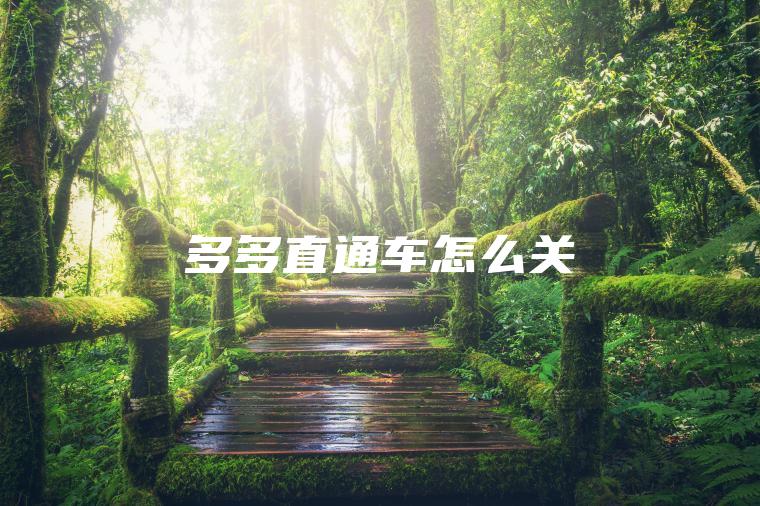 多多直通车怎么关 多多直通车怎么关