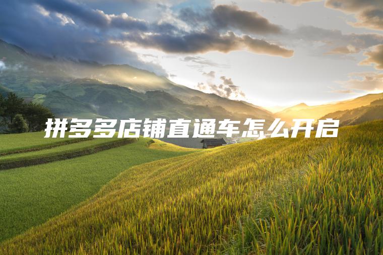 拼多多店铺直通车怎么开启 拼多多店铺直通车怎么开启