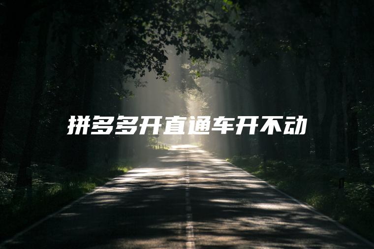 拼多多开直通车开不动