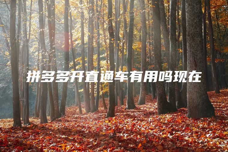 拼多多开直通车有用吗现在