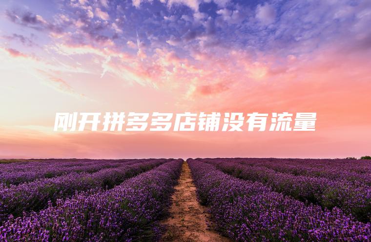 刚开拼多多店铺没有流量