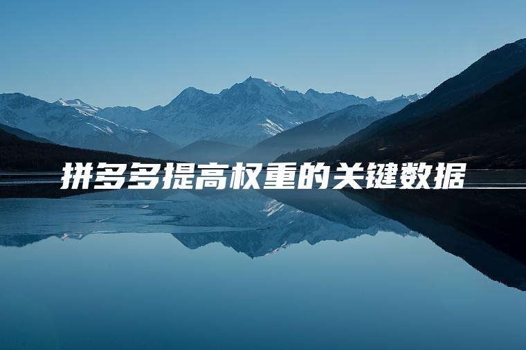 拼多多提高权重的关键数据