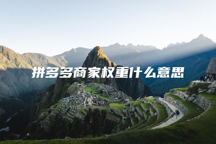 拼多多商家权重什么意思