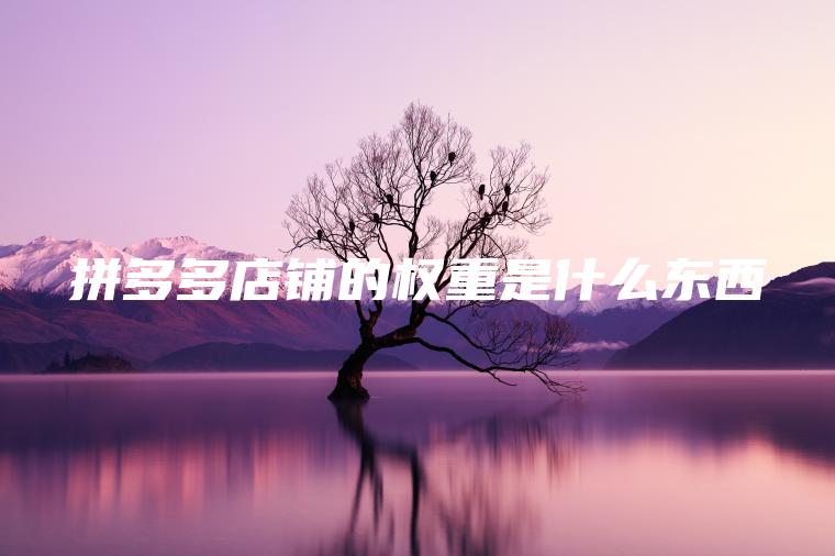 拼多多店铺的权重是什么东西