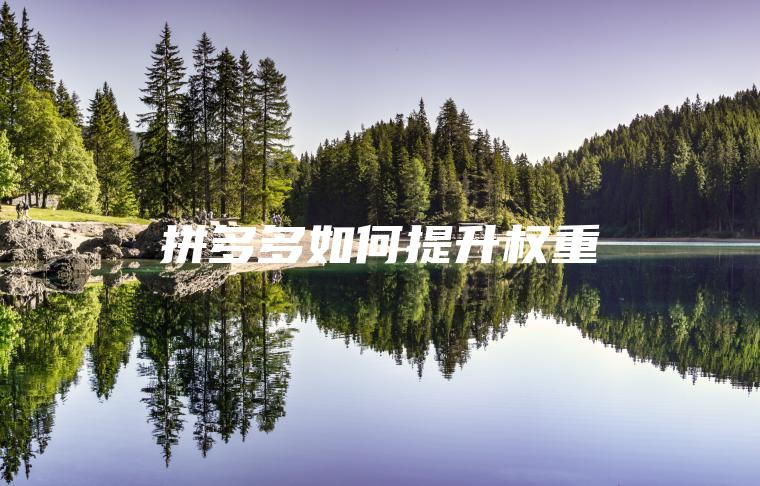 拼多多如何提升权重