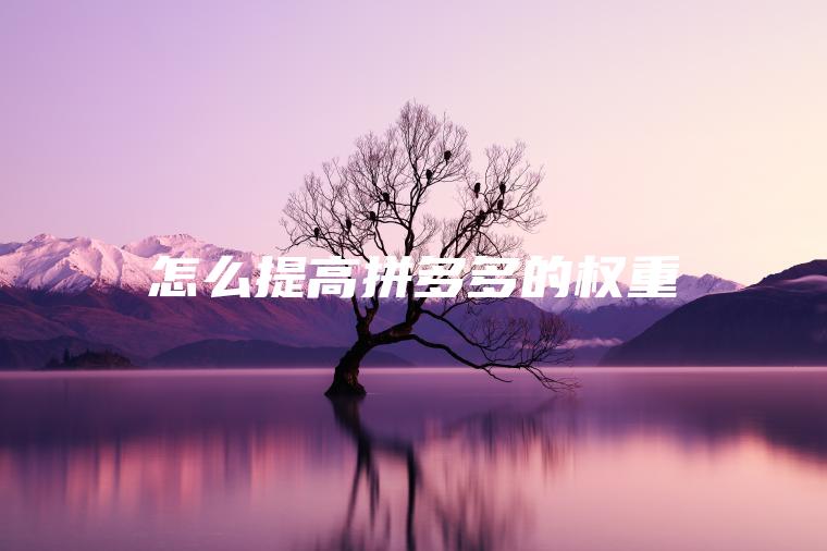 怎么提高拼多多的权重