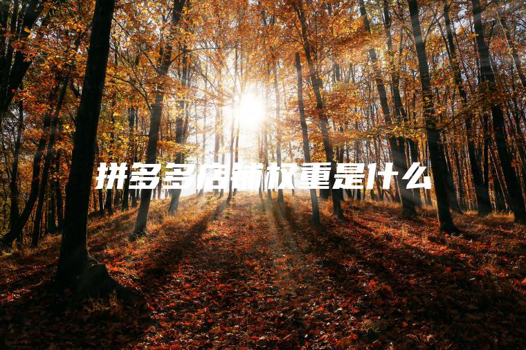 拼多多店铺权重是什么