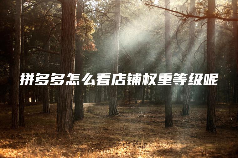 拼多多怎么看店铺权重等级呢 拼多多怎么看店铺权重等级呢