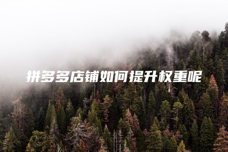 拼多多店铺如何提升权重呢 拼多多店铺如何提升权重呢