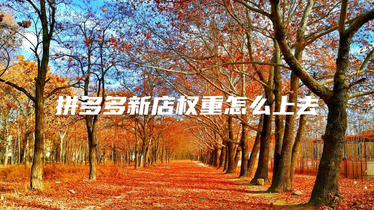 拼多多新店权重怎么上去