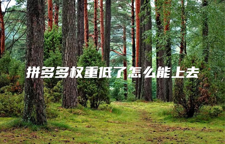 拼多多权重低了怎么能上去