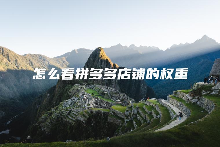 怎么看拼多多店铺的权重