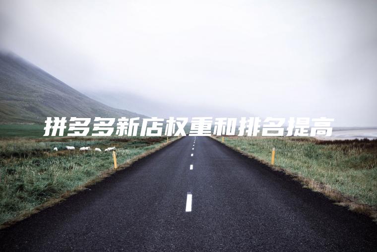 拼多多新店权重和排名提高