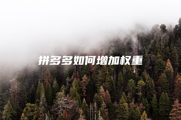 拼多多如何增加权重