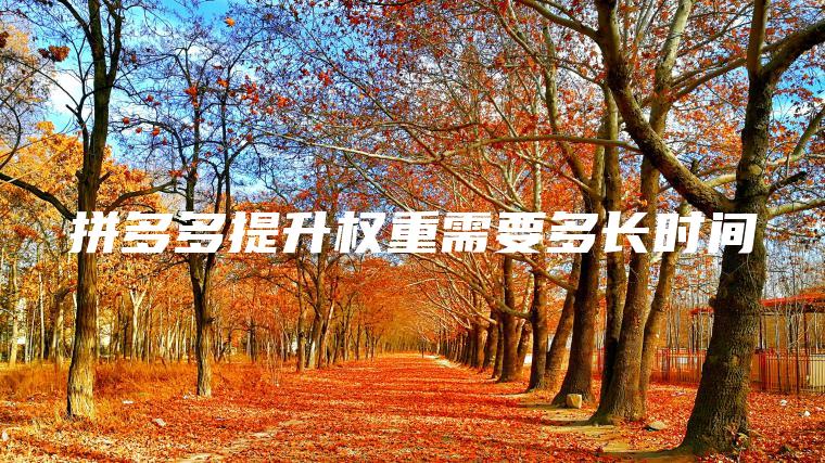 拼多多提升权重需要多长时间