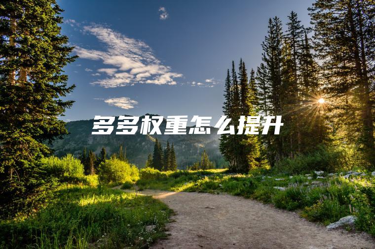 多多权重怎么提升