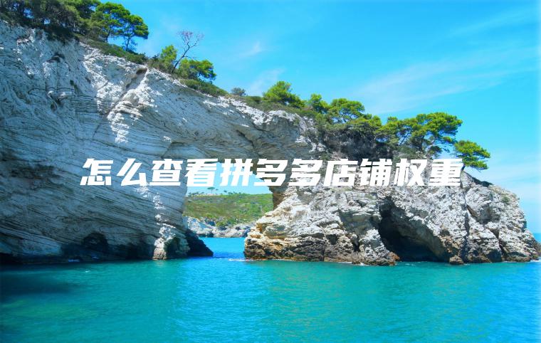 怎么查看拼多多店铺权重 怎么查看拼多多店铺权重