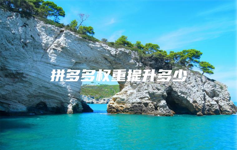 拼多多权重提升多少