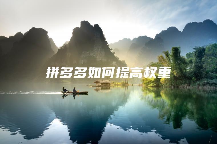 拼多多如何提高权重