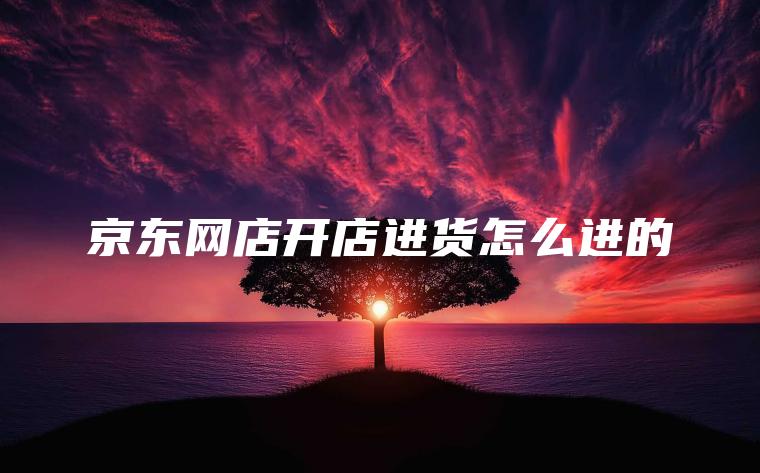 京东网店开店进货怎么进的