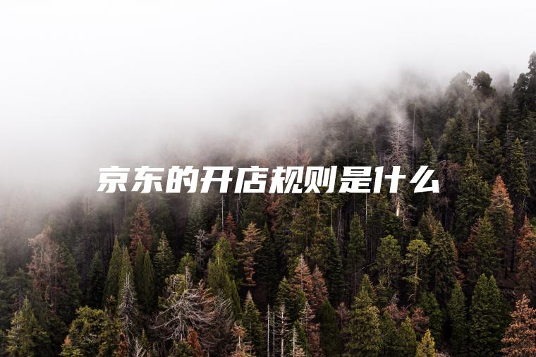 京东的开店规则是什么
