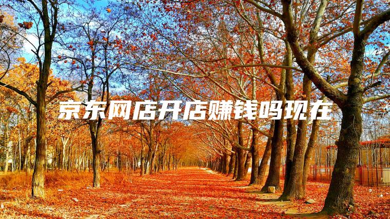 京东网店开店赚钱吗现在 京东网店开店赚钱吗现在