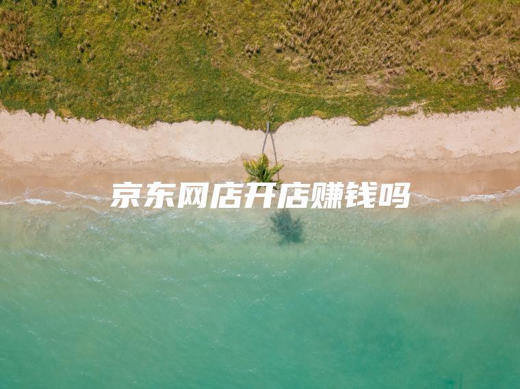 京东网店开店赚钱吗